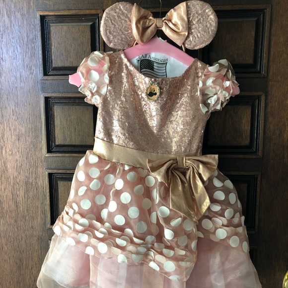 Rose Gold Minnie Mouse Dress 